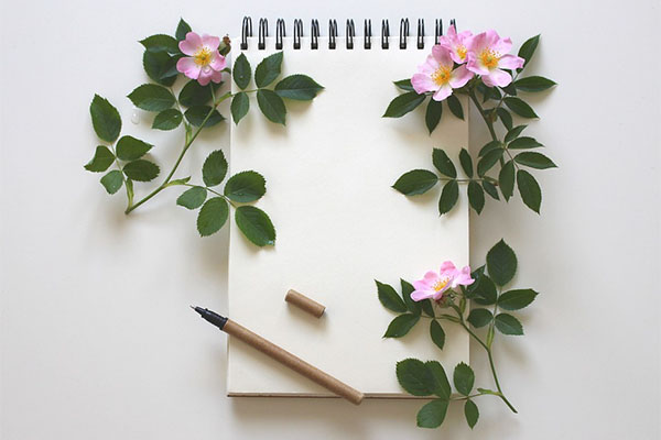 How to Host a Housewarming Party - 2018 Guide