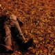 man lying on a ground of leaves