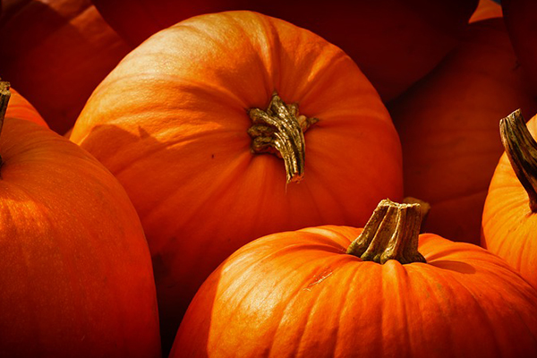 6 Best Cheap DIY Thanksgiving Decorations – 2018 List