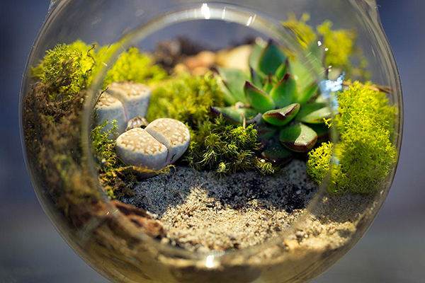6 Best Thanksgiving Table Centerpieces You Can Make Yourself – 2018 List