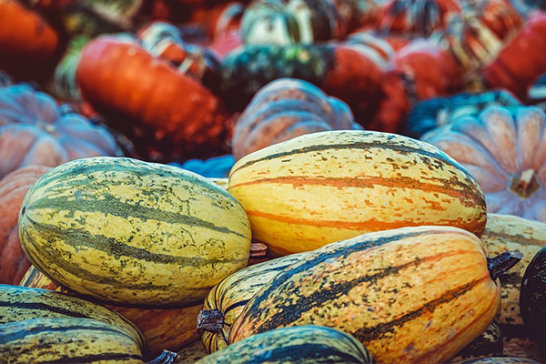 6 Best Thanksgiving Table Centerpieces You Can Make Yourself – 2018 List